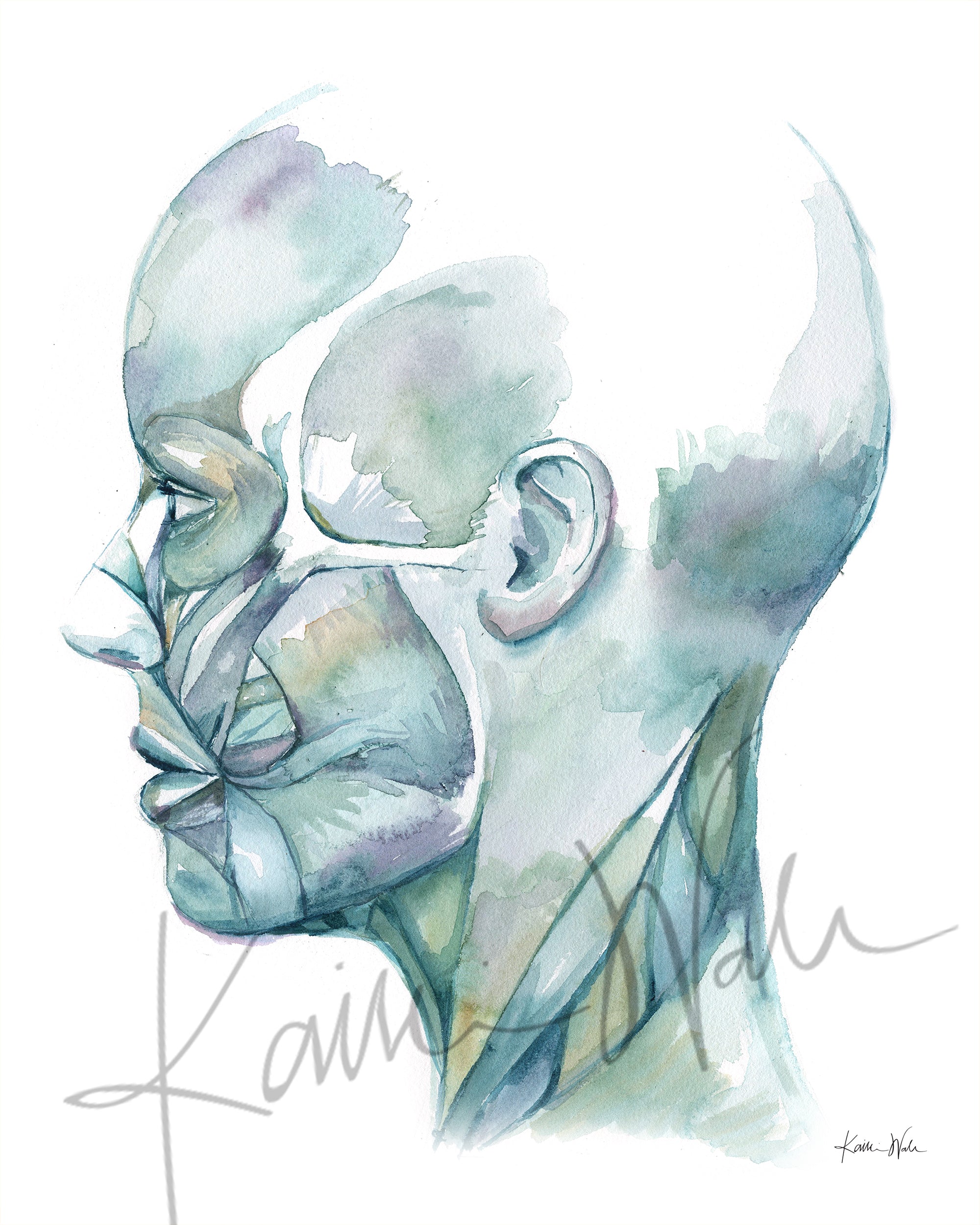 Profile of the Muscles of Facial Expression Watercolor Print
