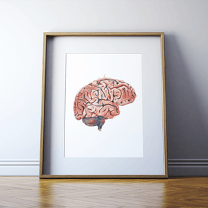 Sagittal Brain Print Watercolor