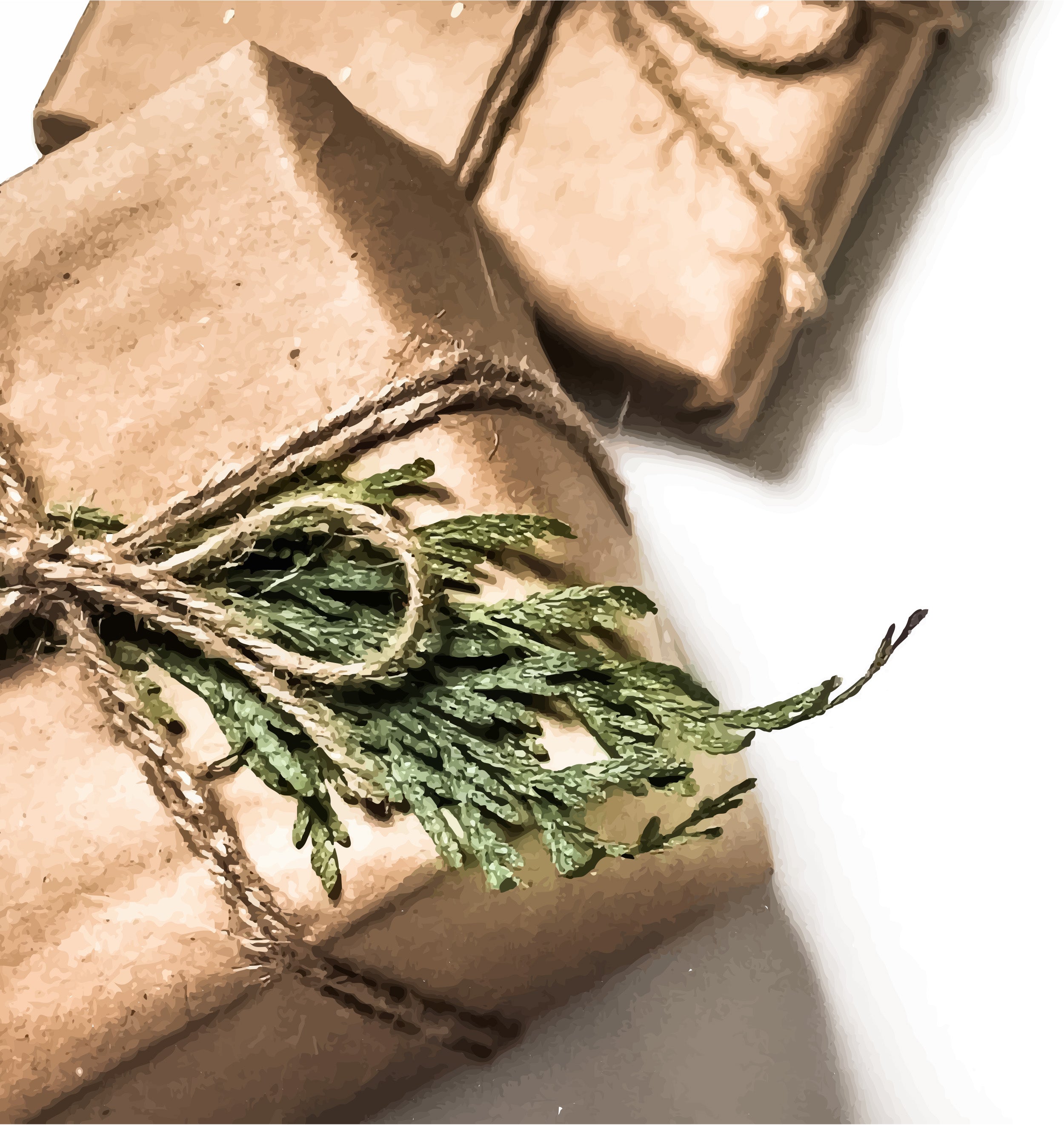 Here for the Holidays: Shipping Guide