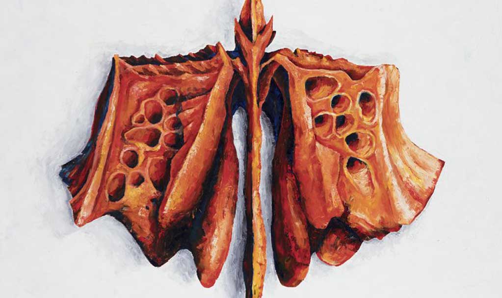 THE ETHMOID PAINTING: THE CREATING OF A WEAPON