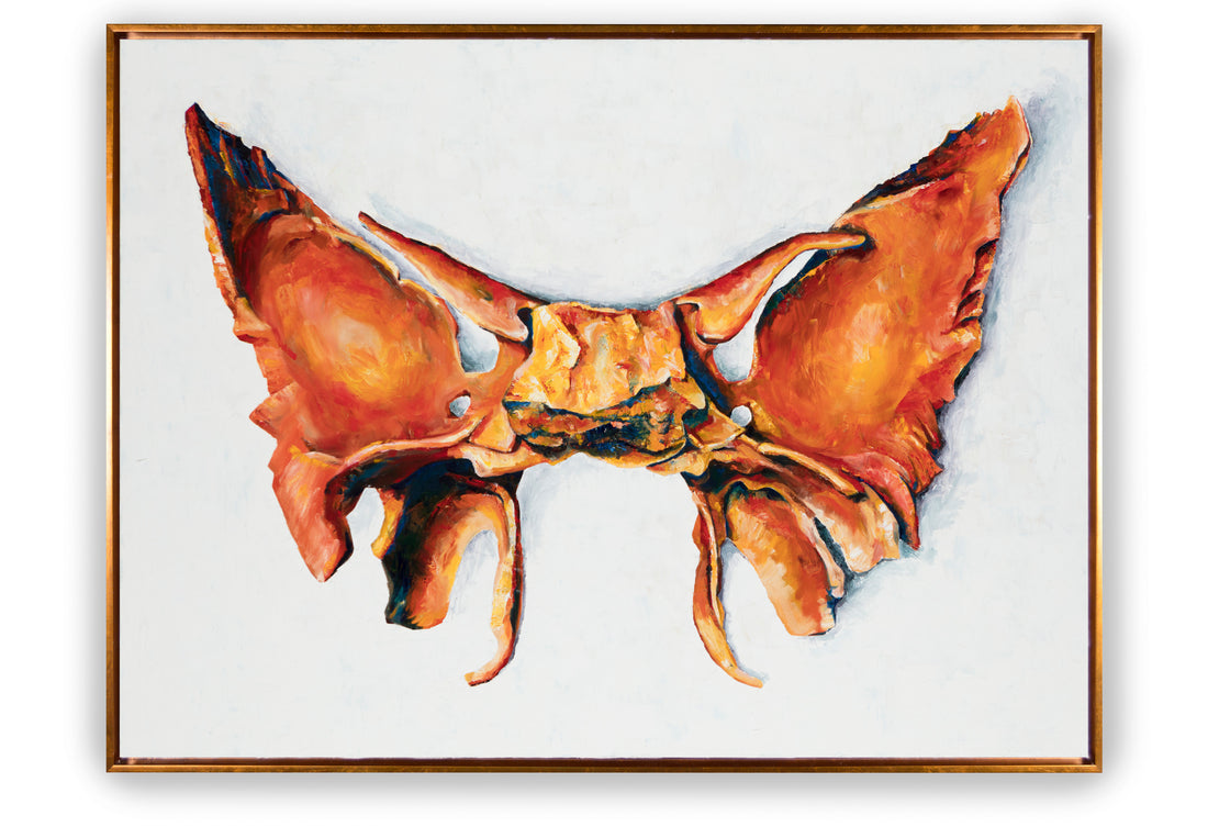 THE SPHENOID PAINTING: A LOVE STORY