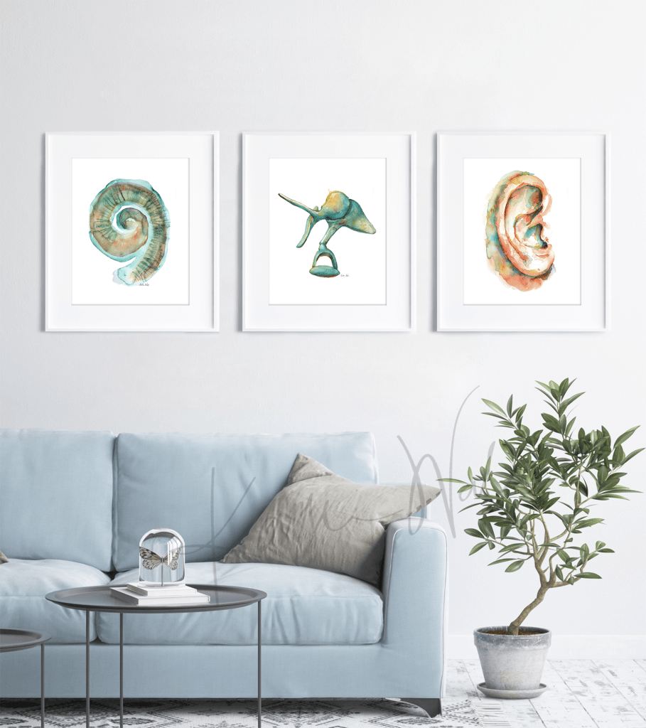 Framed watercolor painting set of the 5 body systems.
