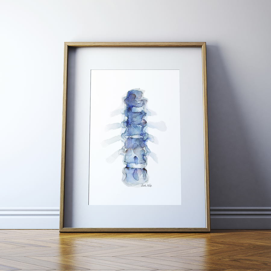 Watercolor painting set of spinal sections