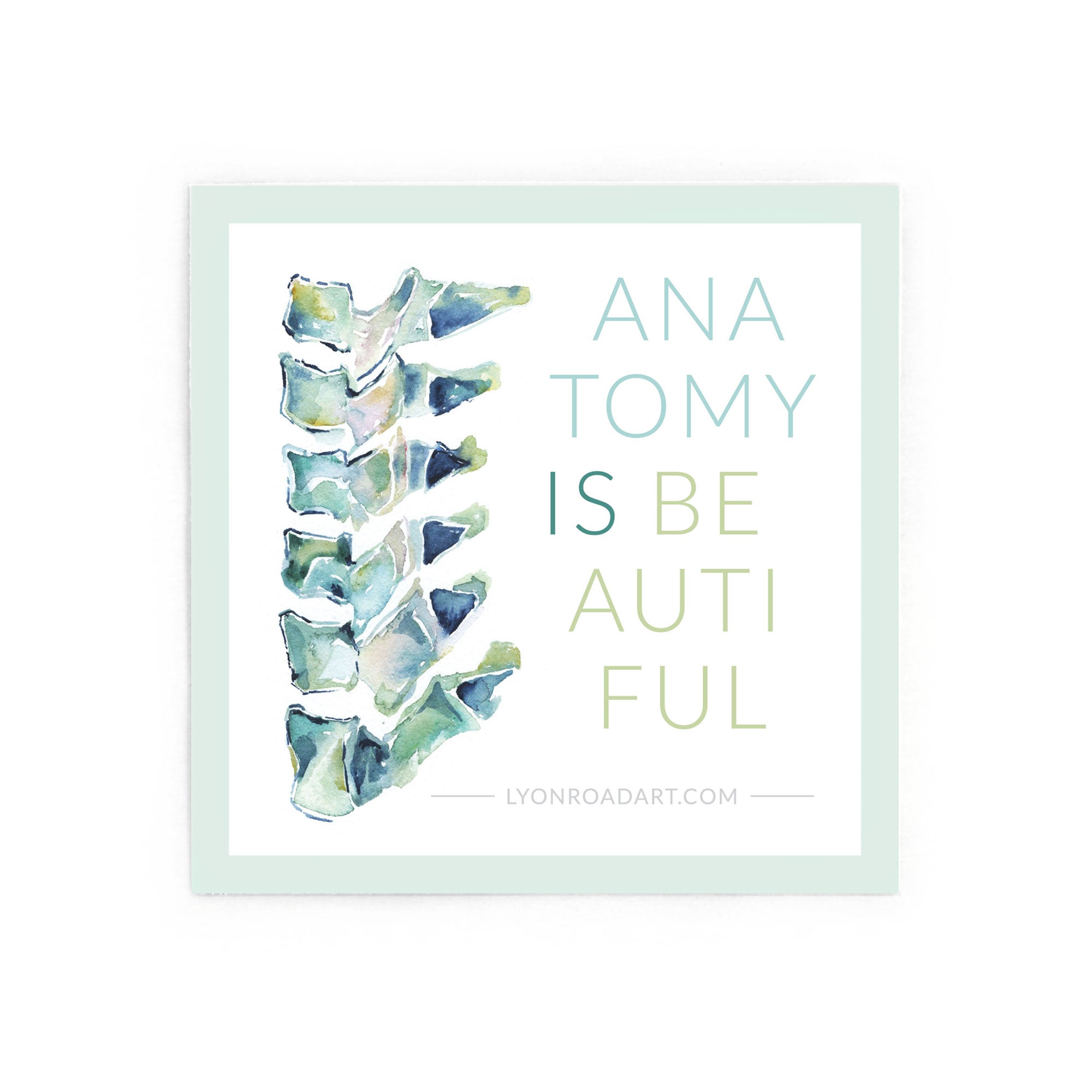 Anatomy is Beautiful