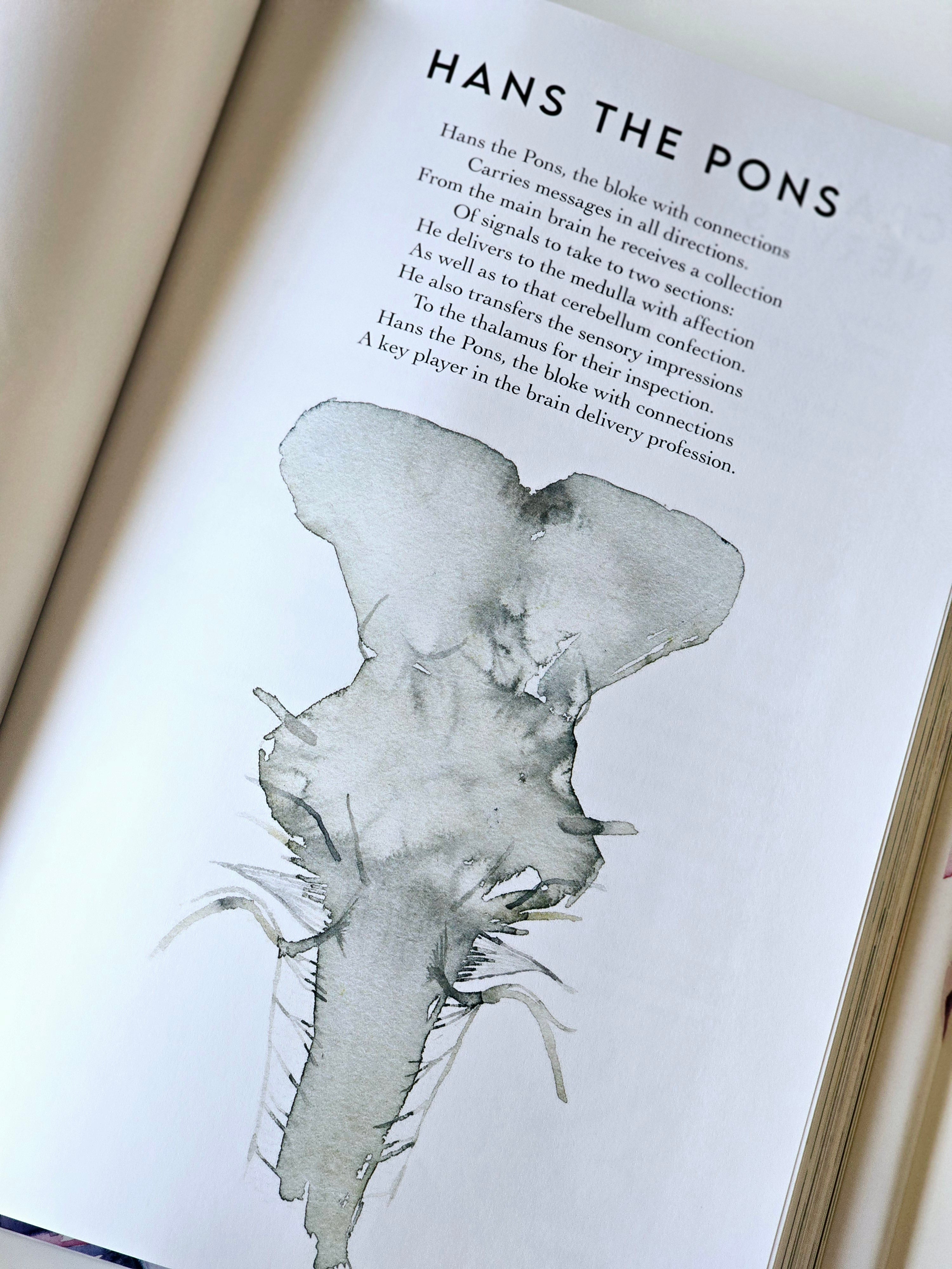 Anatomy is Beautiful: A Collection of Anatomical Art & Poetry