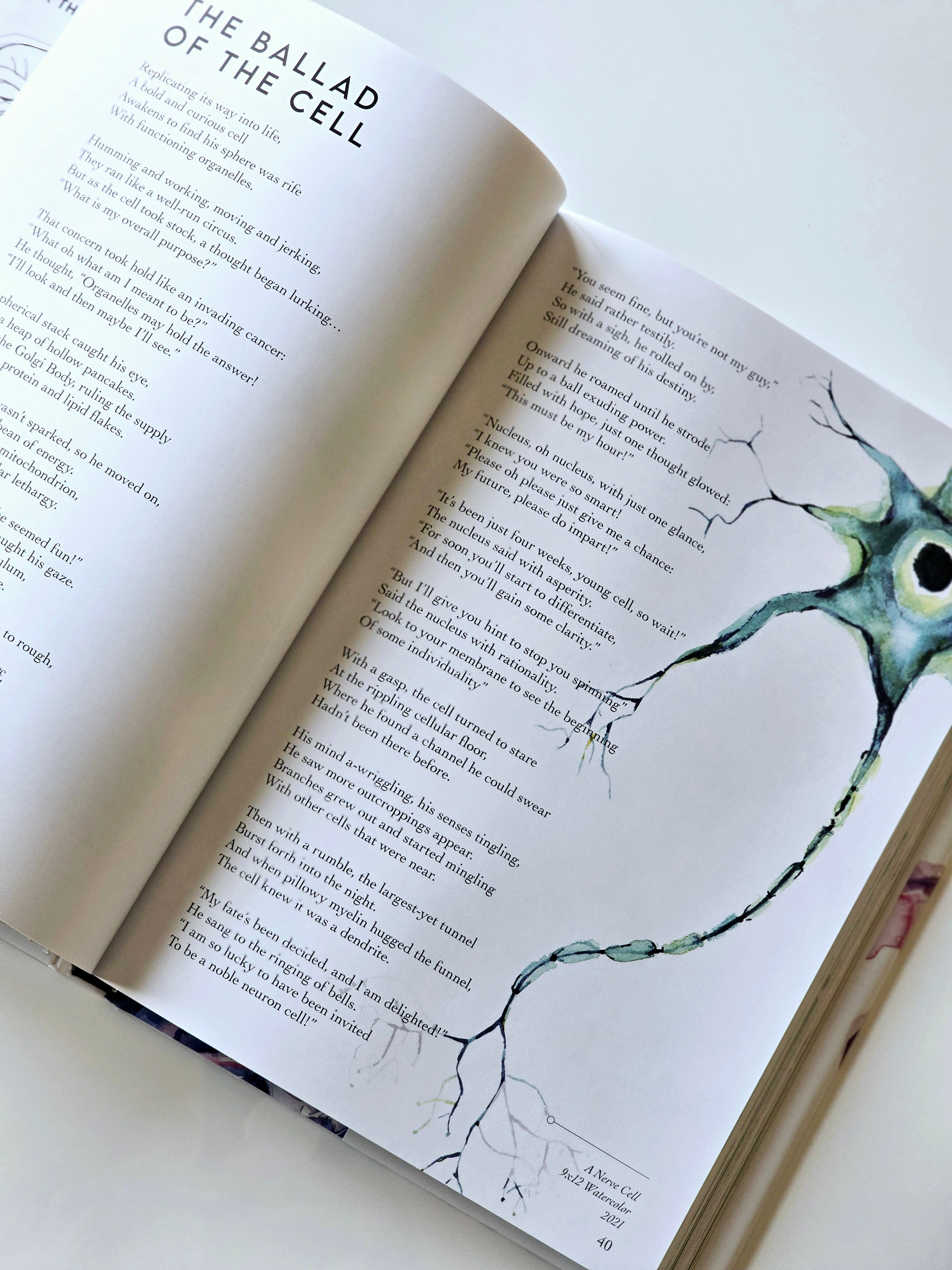 Anatomy is Beautiful: A Collection of Anatomical Art & Poetry