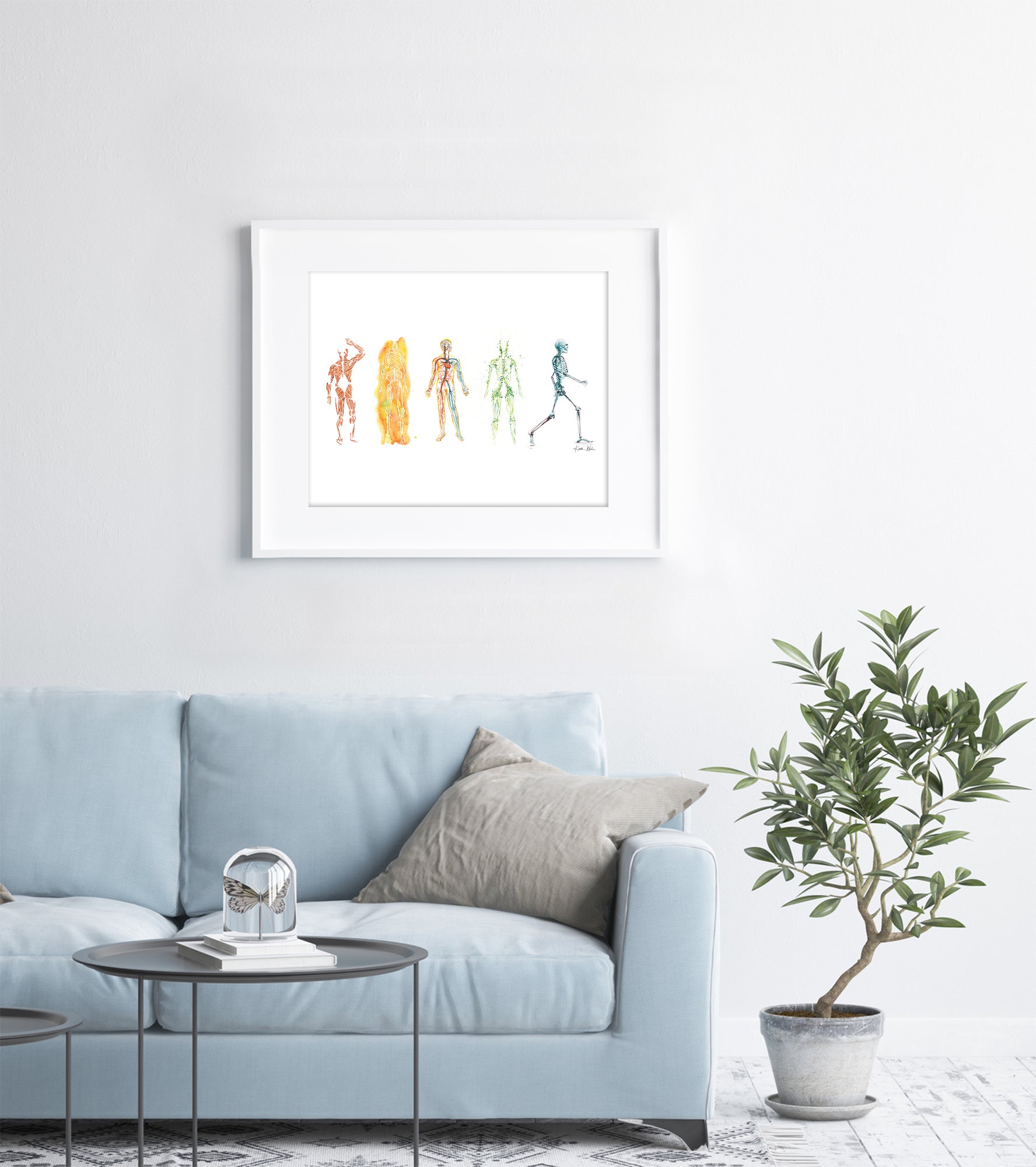 The Five Body Systems Watercolor Print