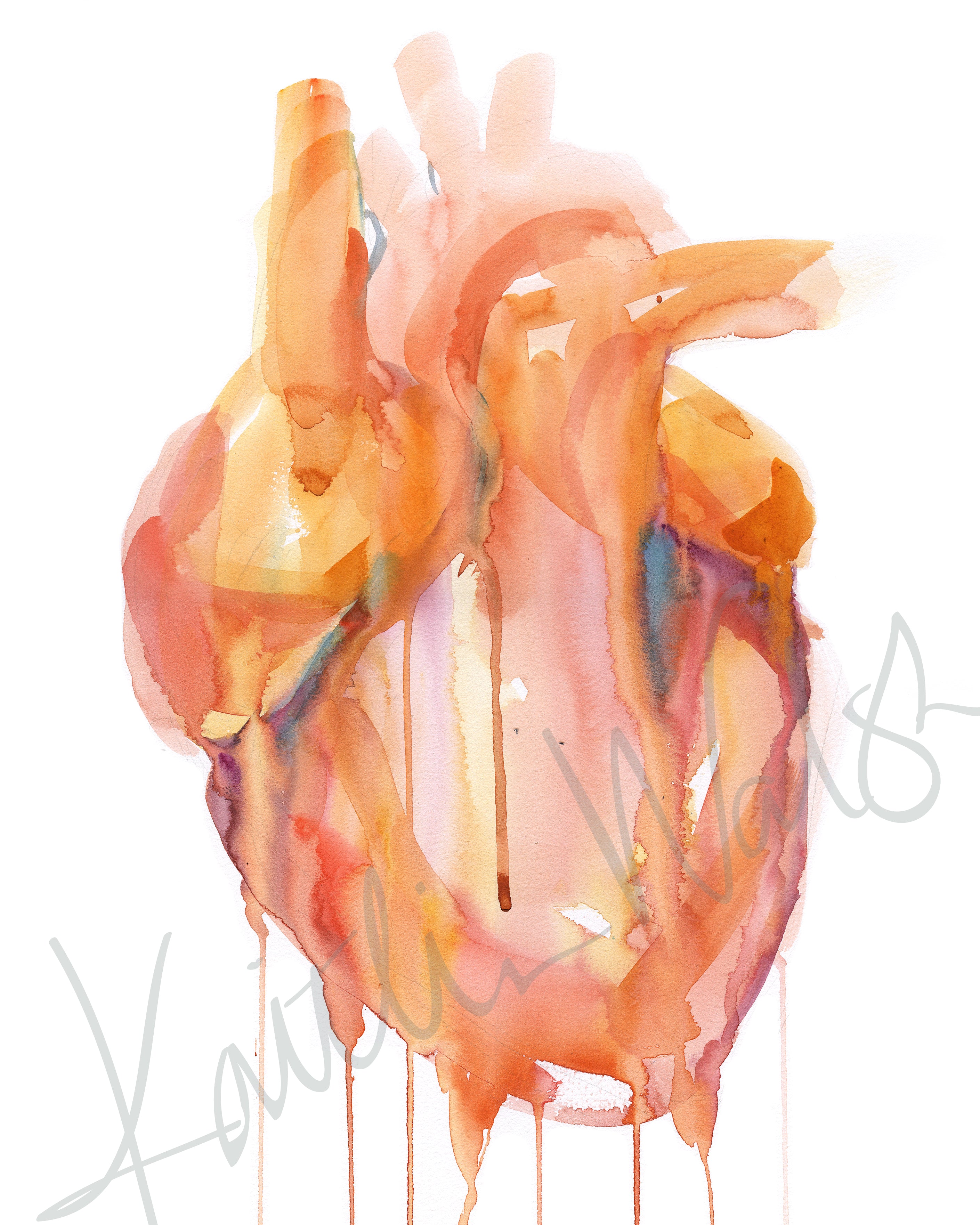 Abstract Anatomical Heart in Orange Watercolor Print