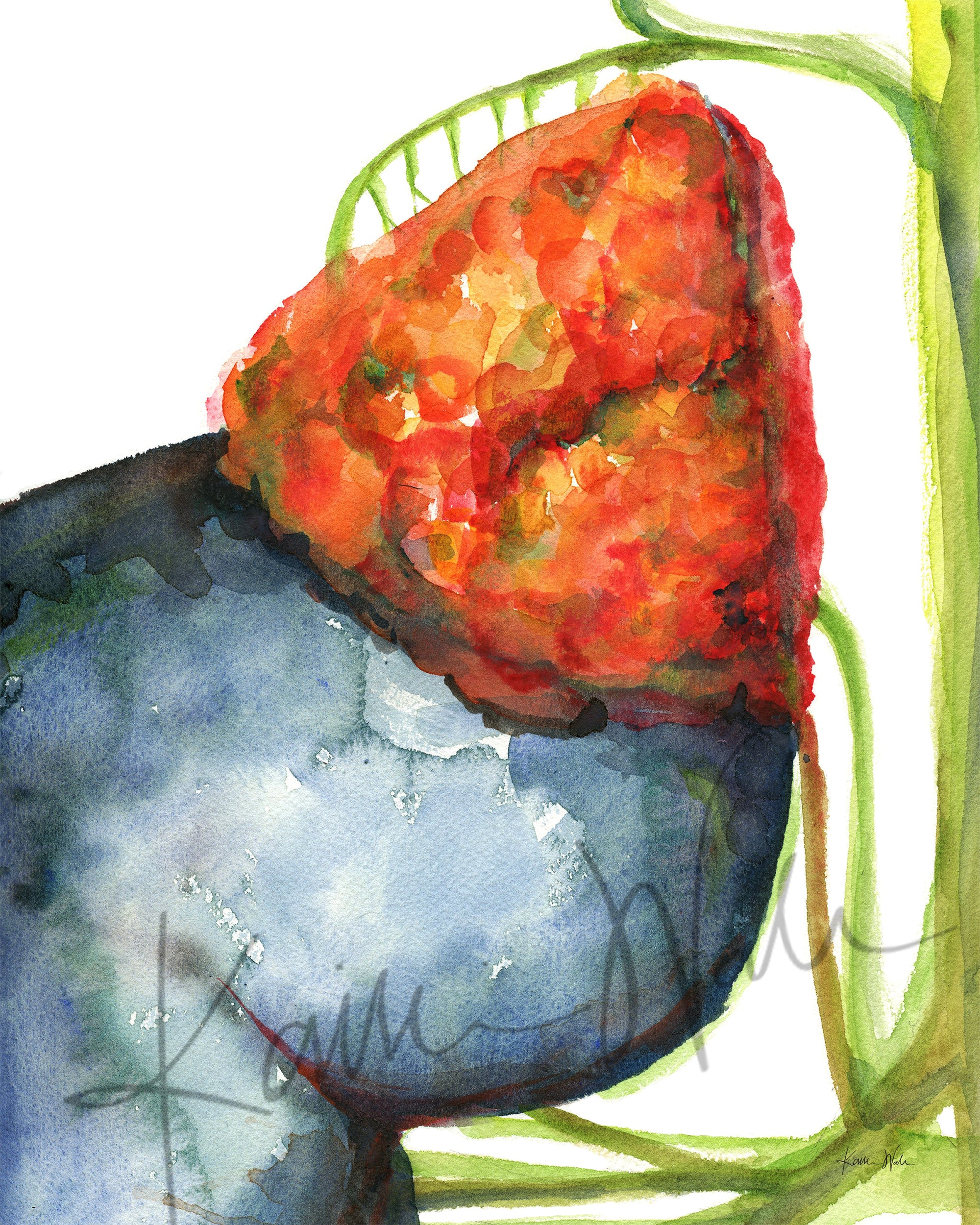 Adrenal Gland in Red Watercolor Print