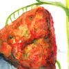 Adrenal Gland in Red Watercolor Print