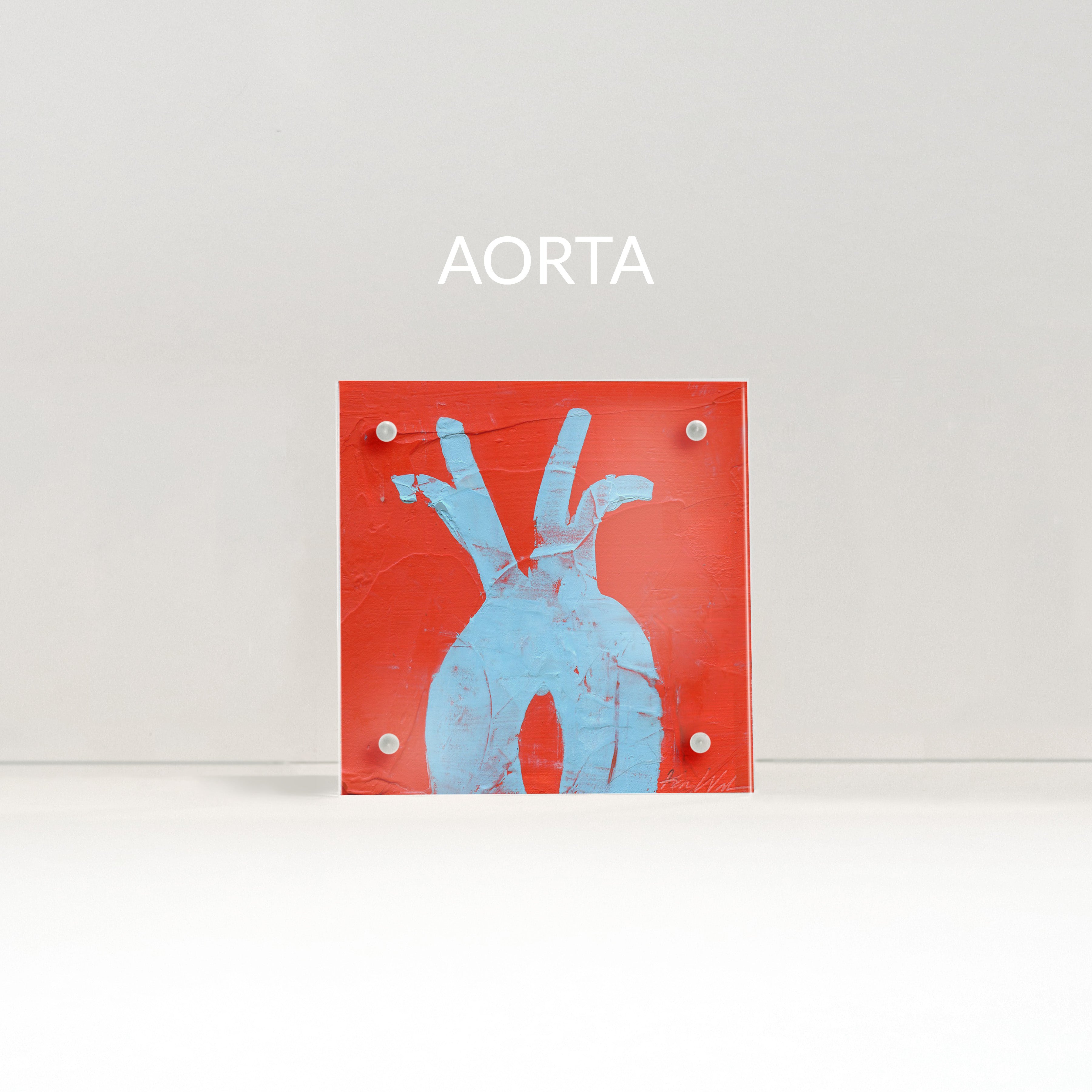 Heart Anatomy Desktop Art - Acrylic Framed Mini Print