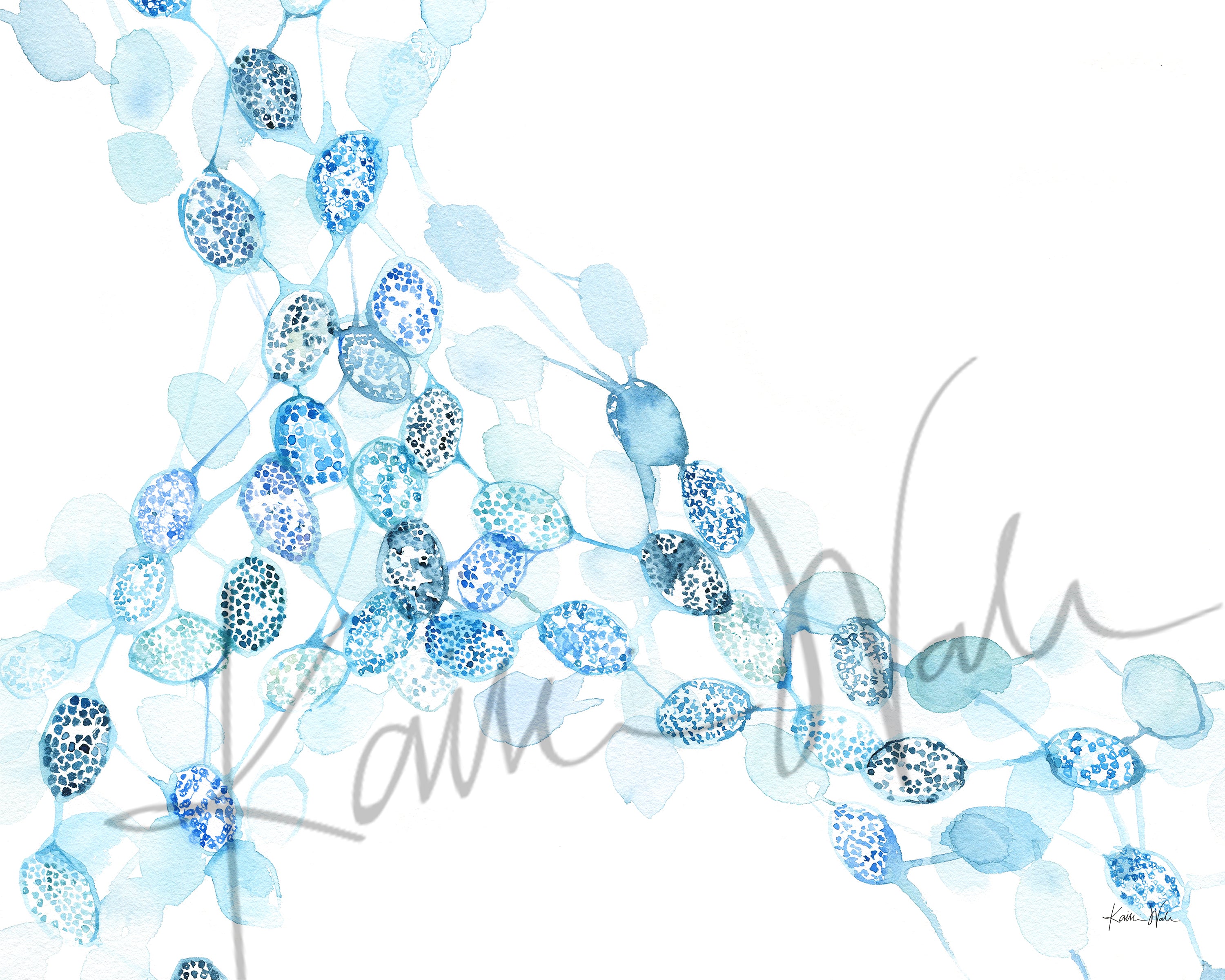 B-Cell Lymphoma Morphology Watercolor Print