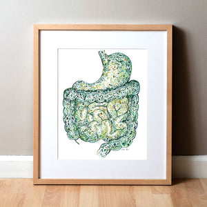 Framed watercolor painting of the stomach and intestines showing the internal gut microbiome.