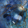 Red, Blue, and Gray Retina Watercolor Print Set