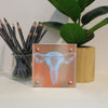 Female Anatomy Desktop Art - Acrylic Framed Mini Print