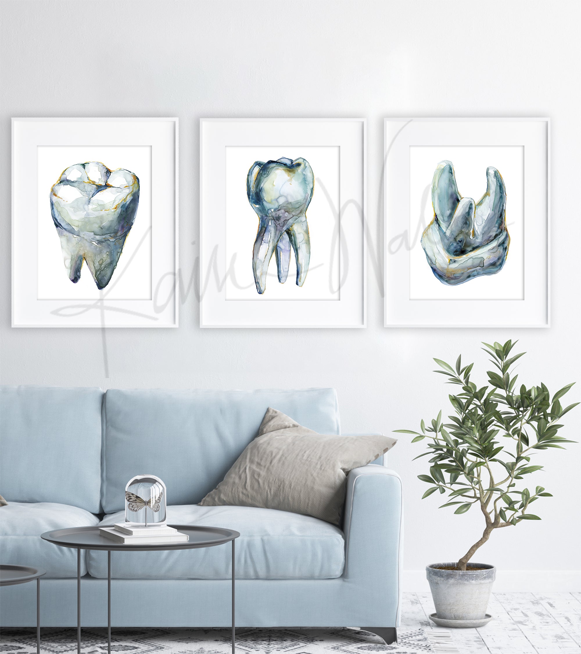 Molar Views Dental Watercolor Print Set