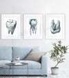 Molar Views Dental Watercolor Print Set