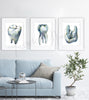 Molar Views Dental Watercolor Print Set