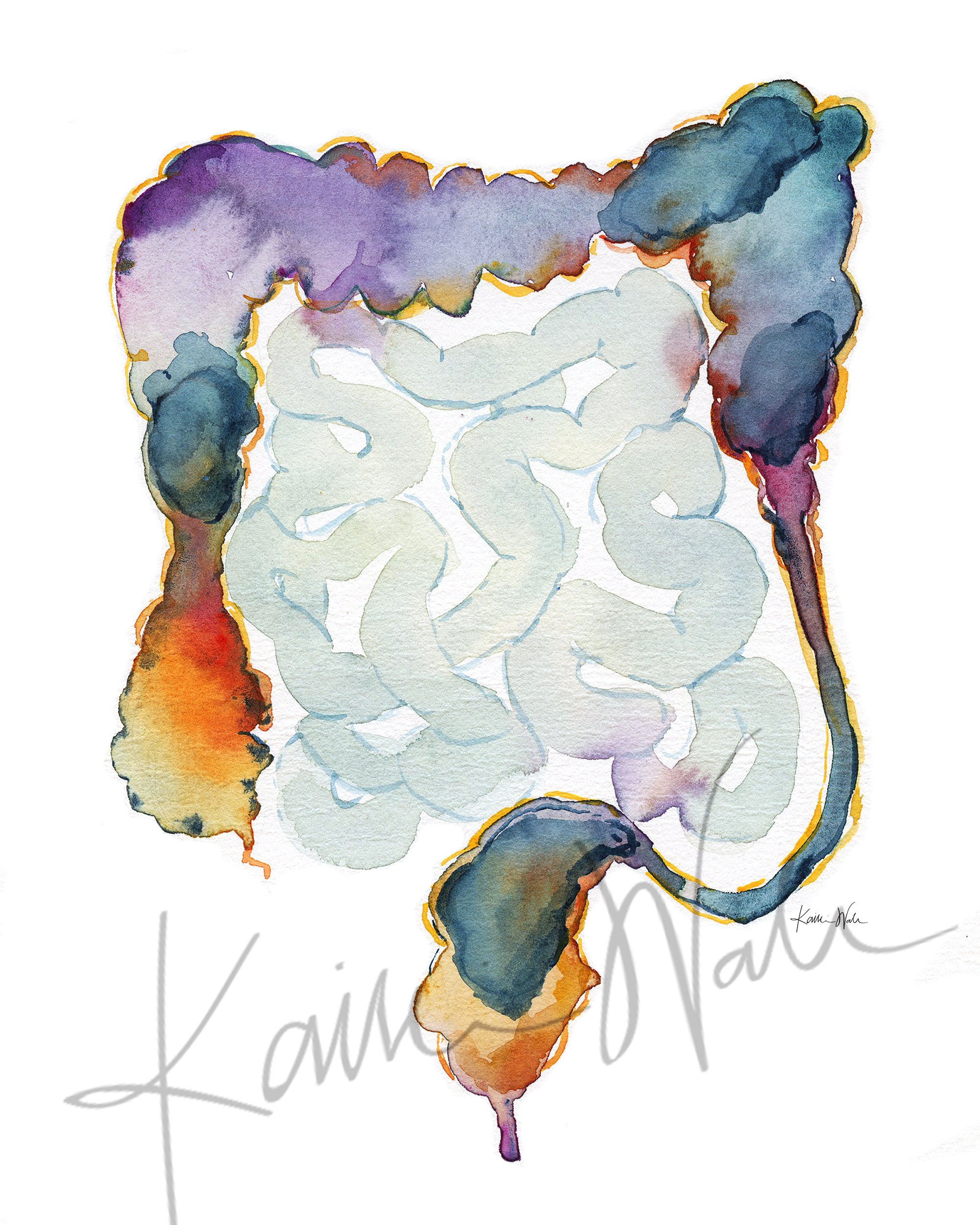 BM Colon Watercolor Print