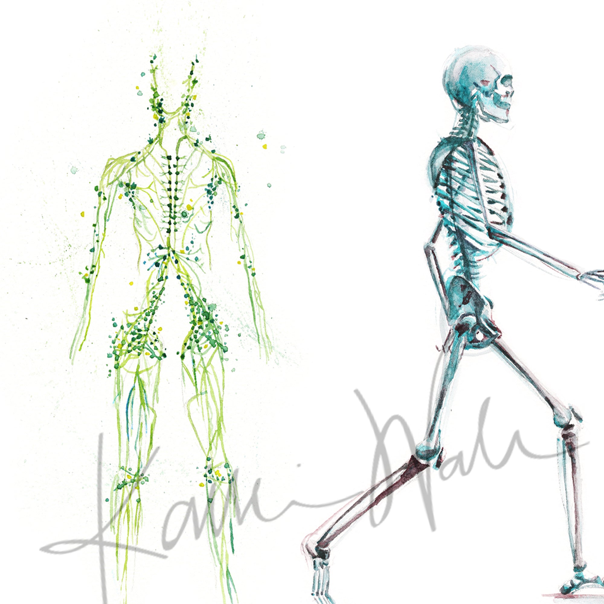 The Five Body Systems Watercolor Print