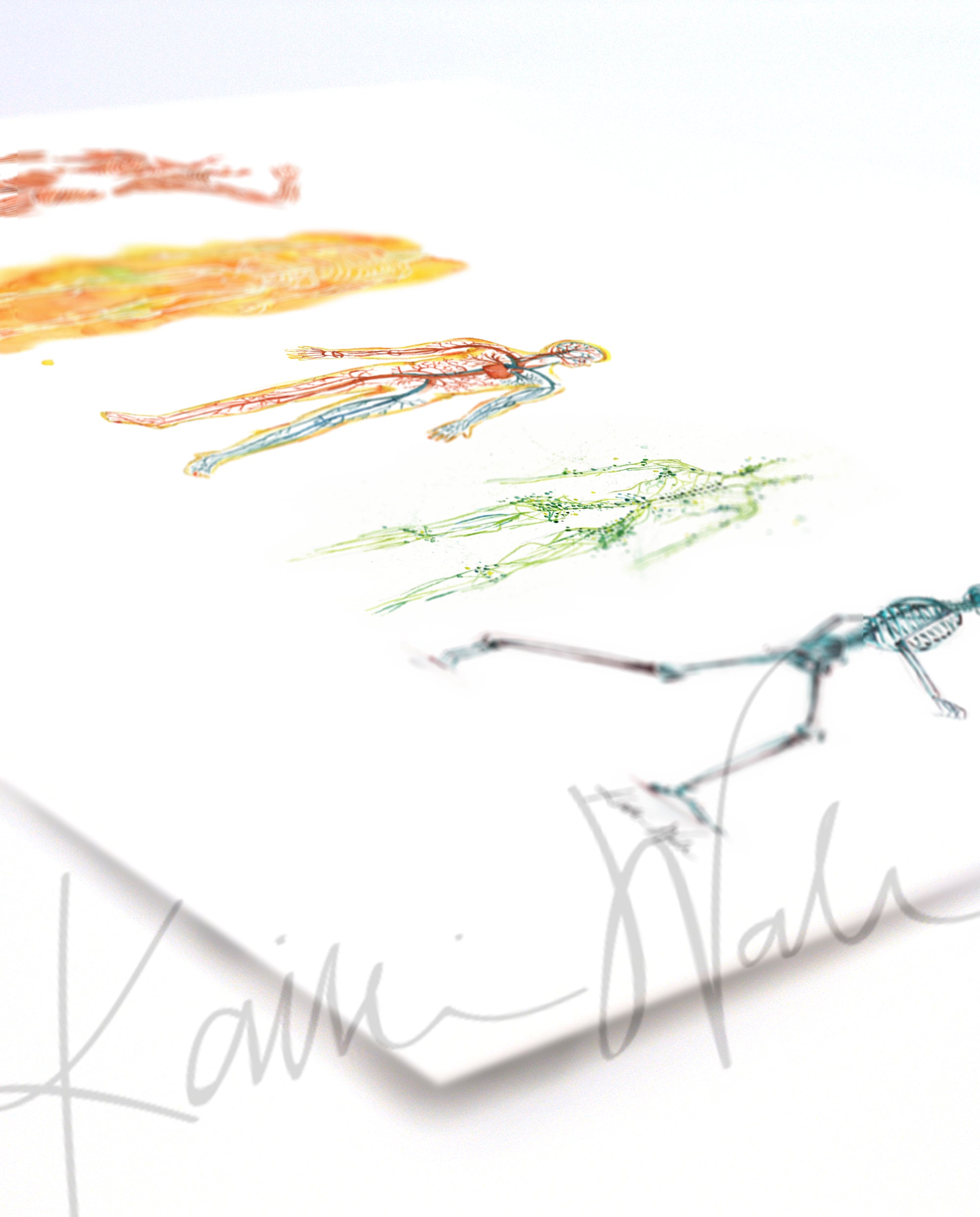 The Five Body Systems Watercolor Print