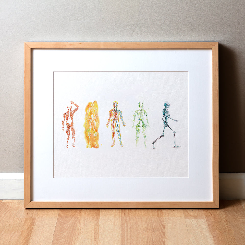 The Five Body Systems Watercolor Print