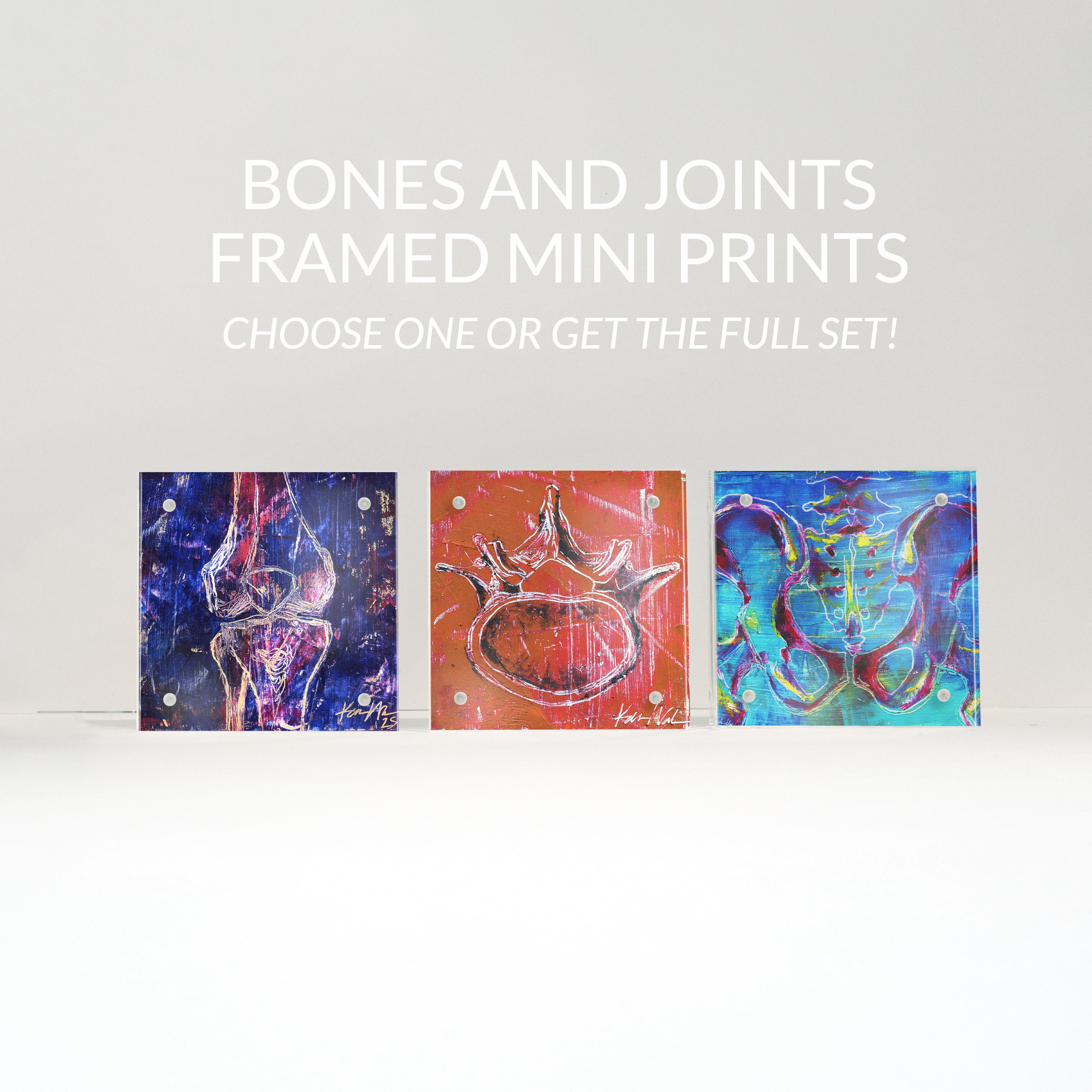 Bones and Joints Desktop Anatomy Art - Acrylic Framed Mini Print