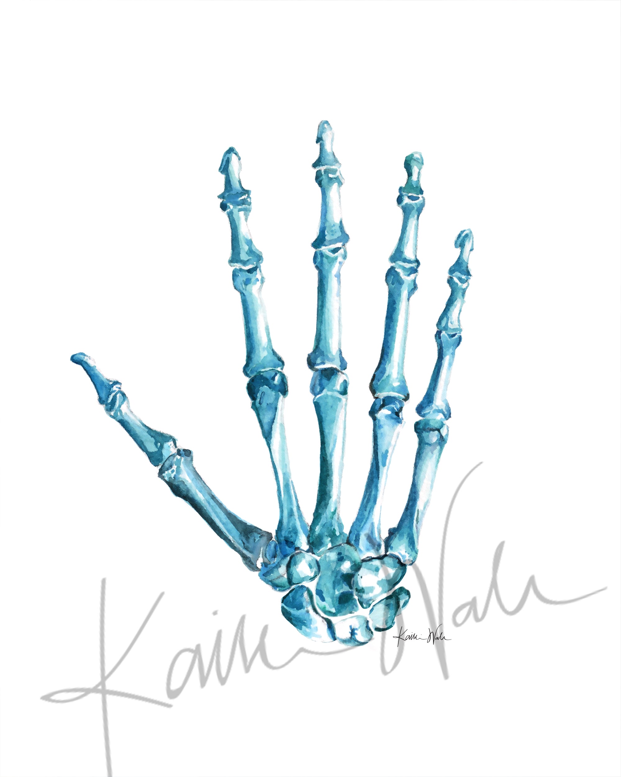 Bones of the Hand Watercolor Print