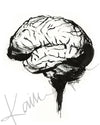 Heart, Brain, and Lungs Ink Set