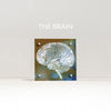 Neuroanatomy Desktop Anatomy Art - Acrylic Framed Mini Print