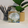 Neuroanatomy Desktop Anatomy Art - Acrylic Framed Mini Print
