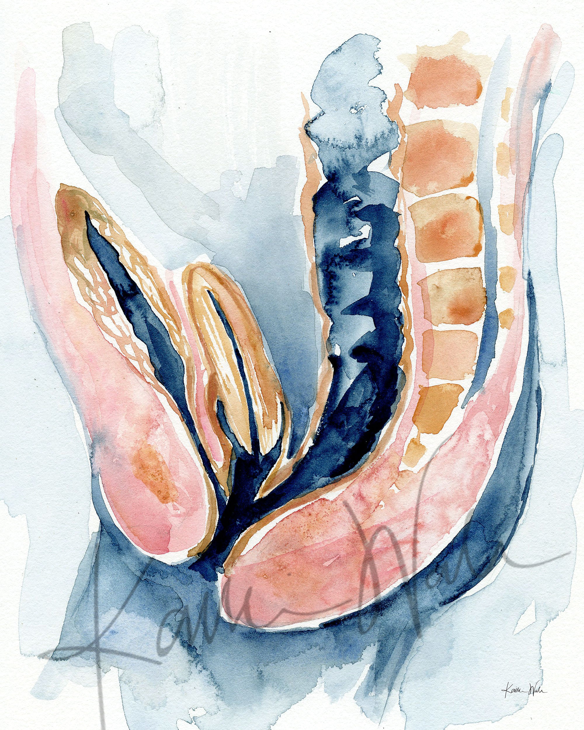 Unframed watercolor painting of a cloaca.