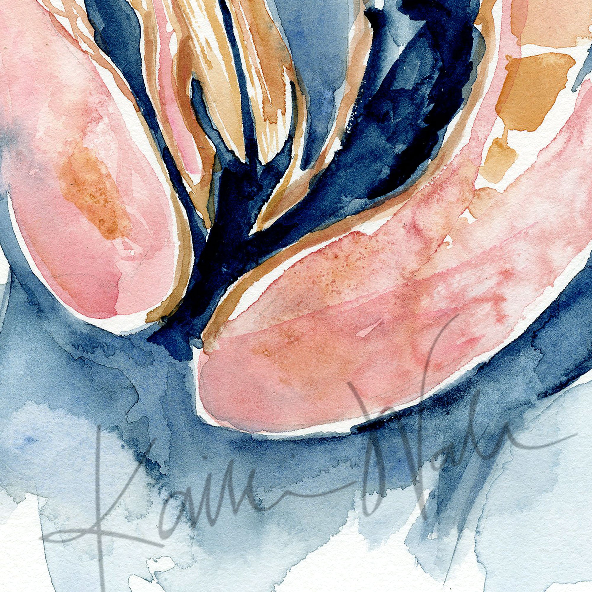Zoomed in view of a watercolor painting of a cloaca.
