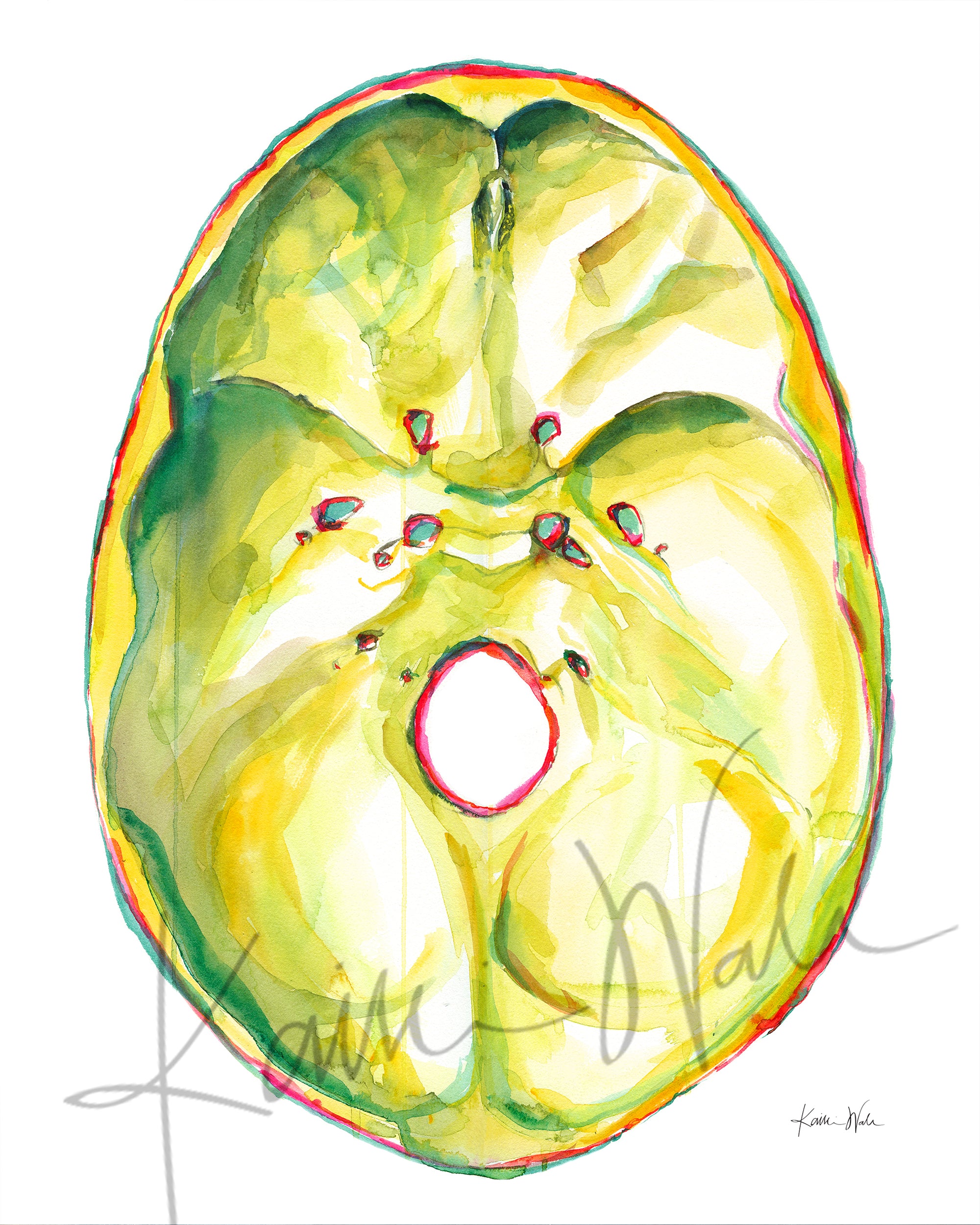 Cranium Watercolor Print