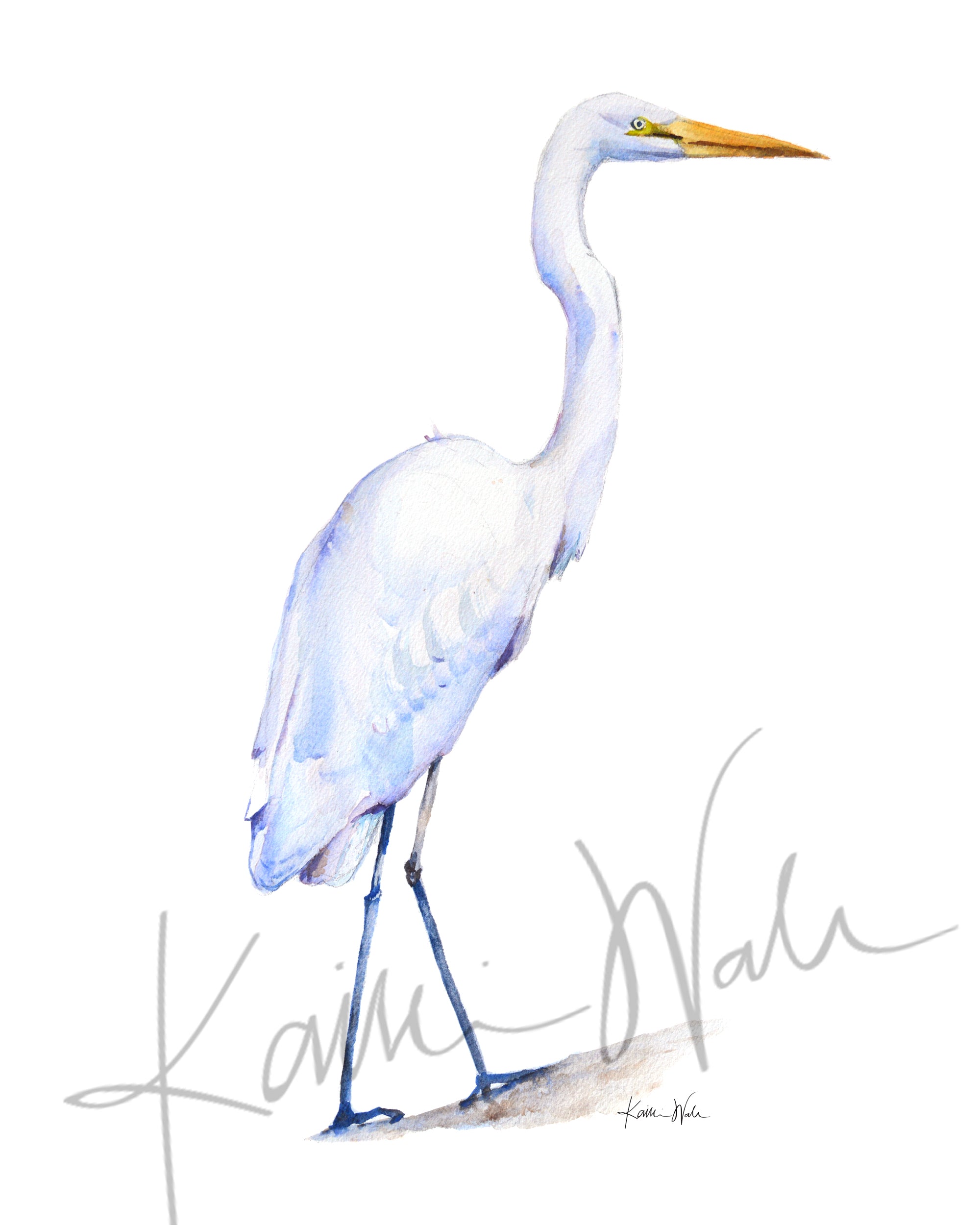 Heron and Egret Watercolor Print Set