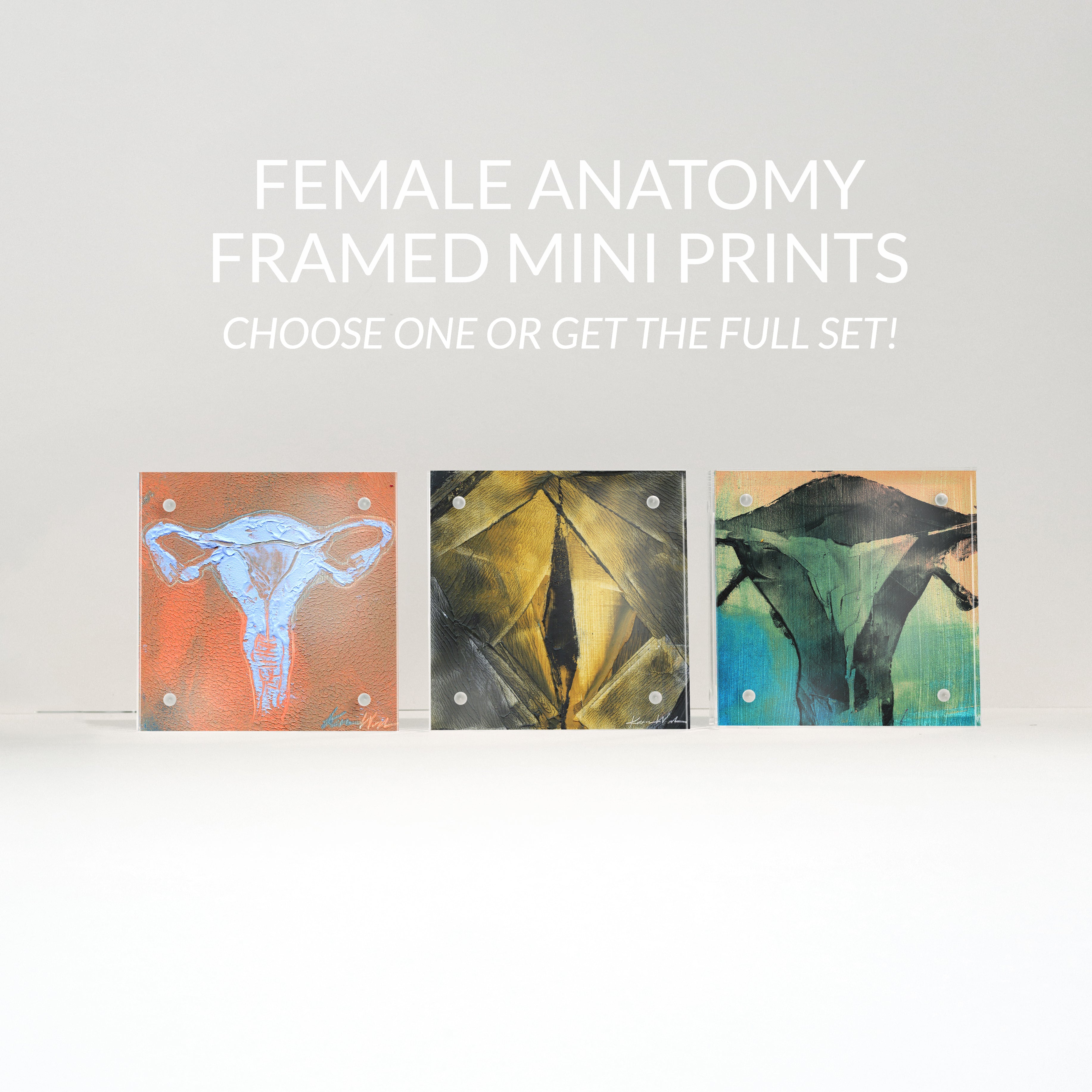 Female Anatomy Desktop Art - Acrylic Framed Mini Print