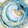 OBGYN Desktop Anatomy Art - Acrylic Framed Mini Print