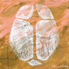 OBGYN Desktop Anatomy Art - Acrylic Framed Mini Print