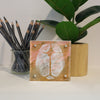 OBGYN Desktop Anatomy Art - Acrylic Framed Mini Print