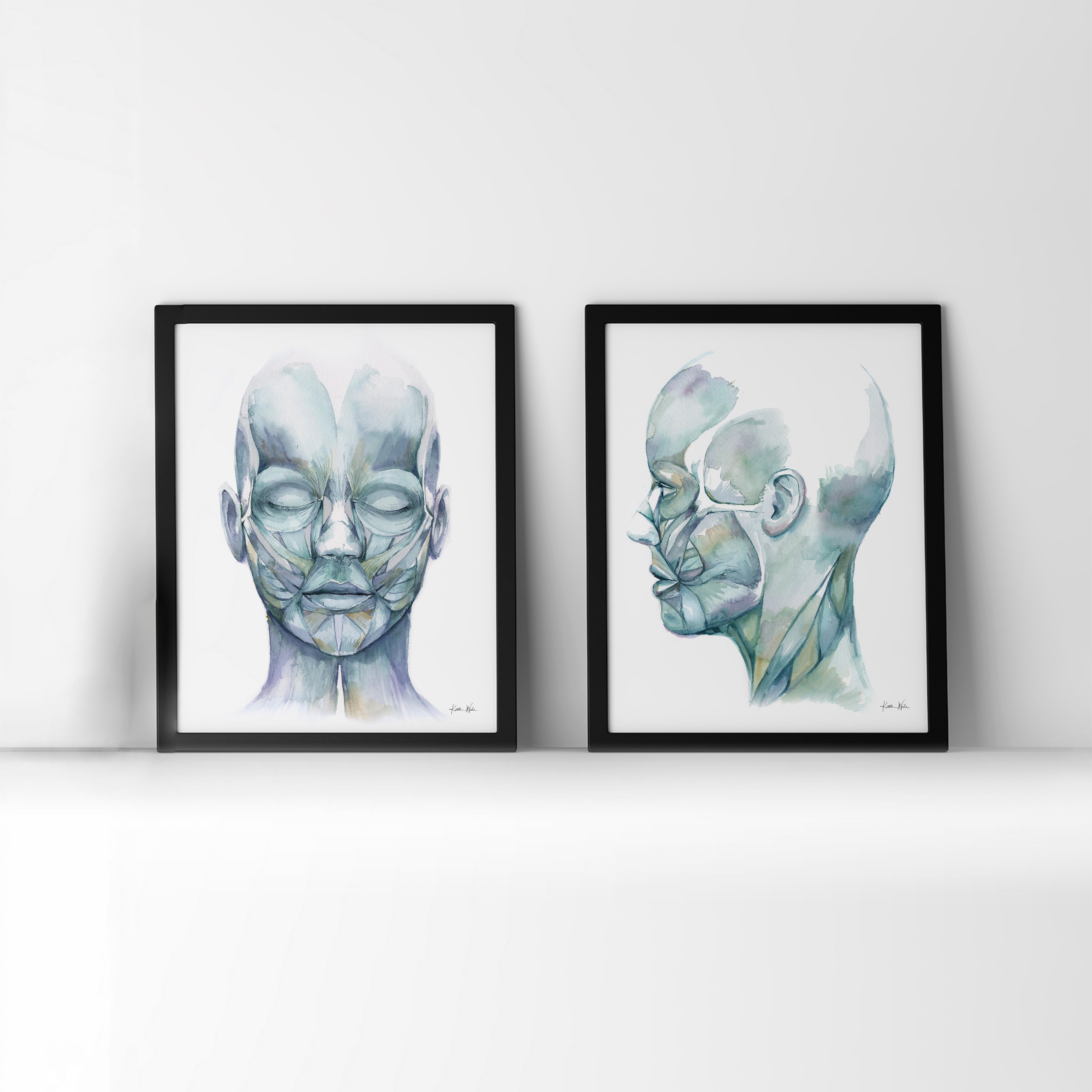 Muscles of Facial Expression Watercolor Print Set