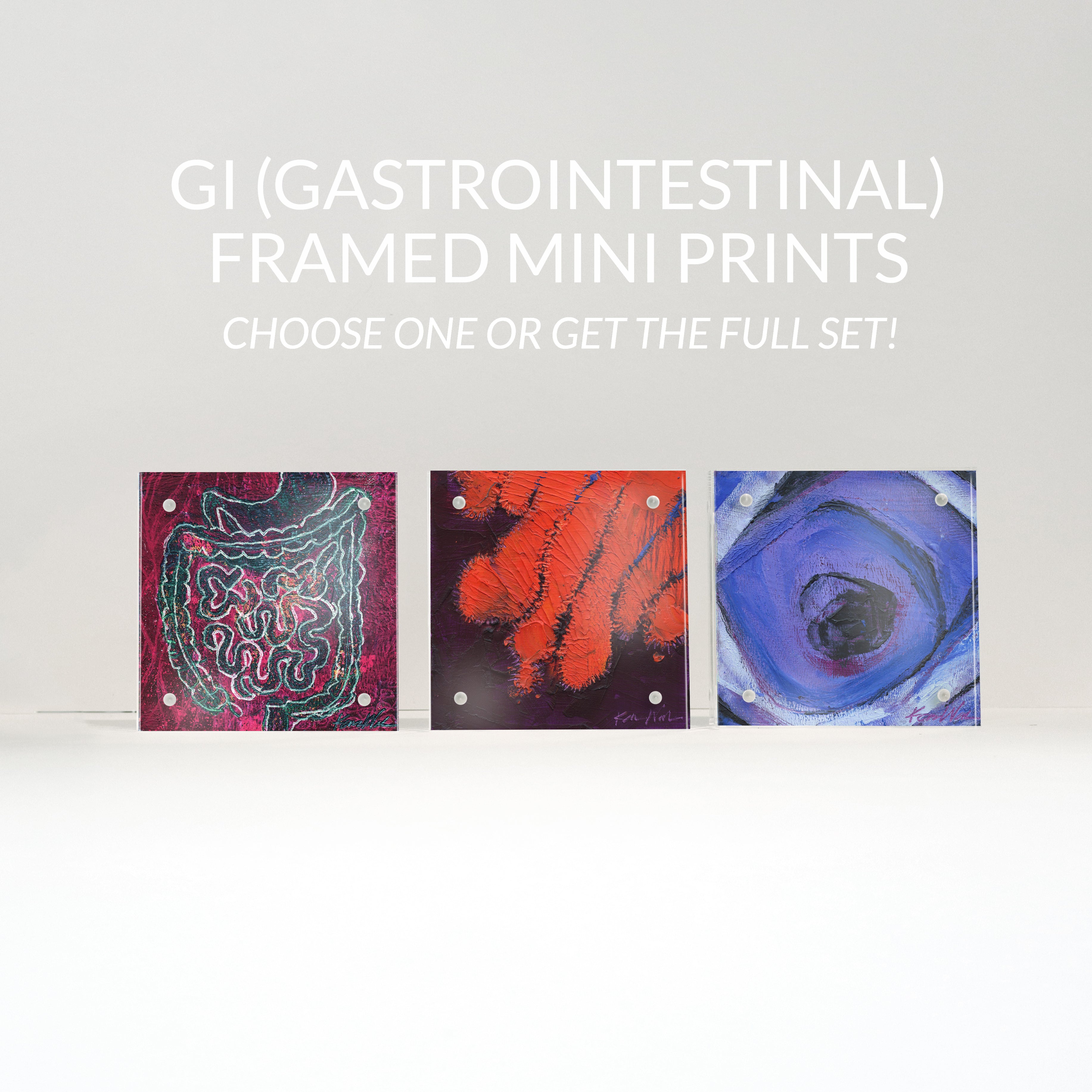 GI (Gastrointestinal) Desktop Anatomy Art - Acrylic Framed Mini Print