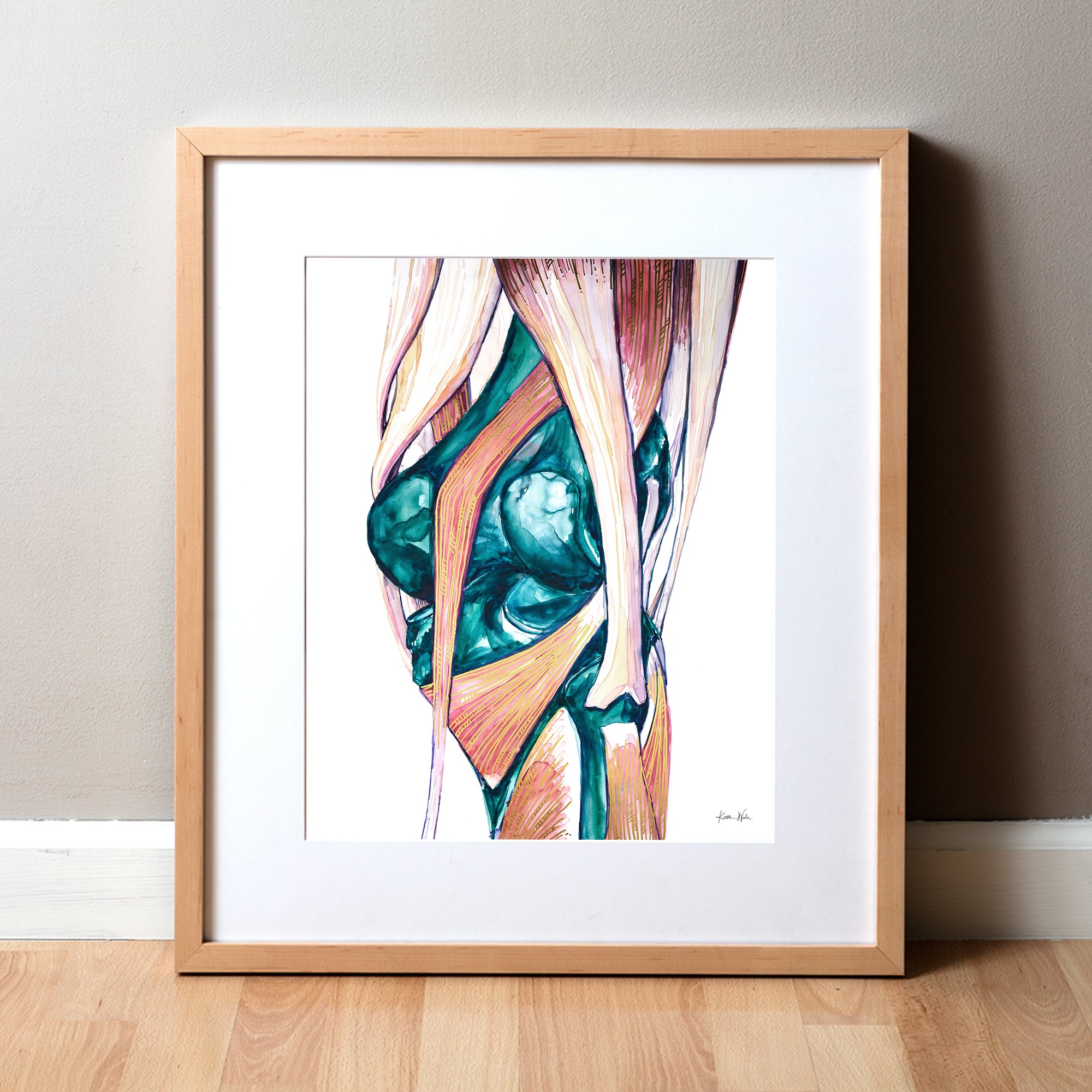 Framed anatomical illustration of muscles on a white background. anatomy art painting showing the knee joint
