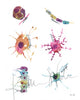 Glial Cells Watercolor Print
