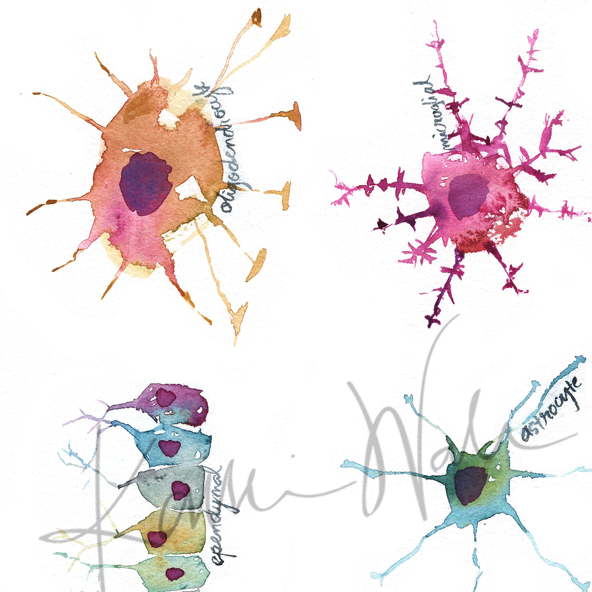 Glial Cells Watercolor Print
