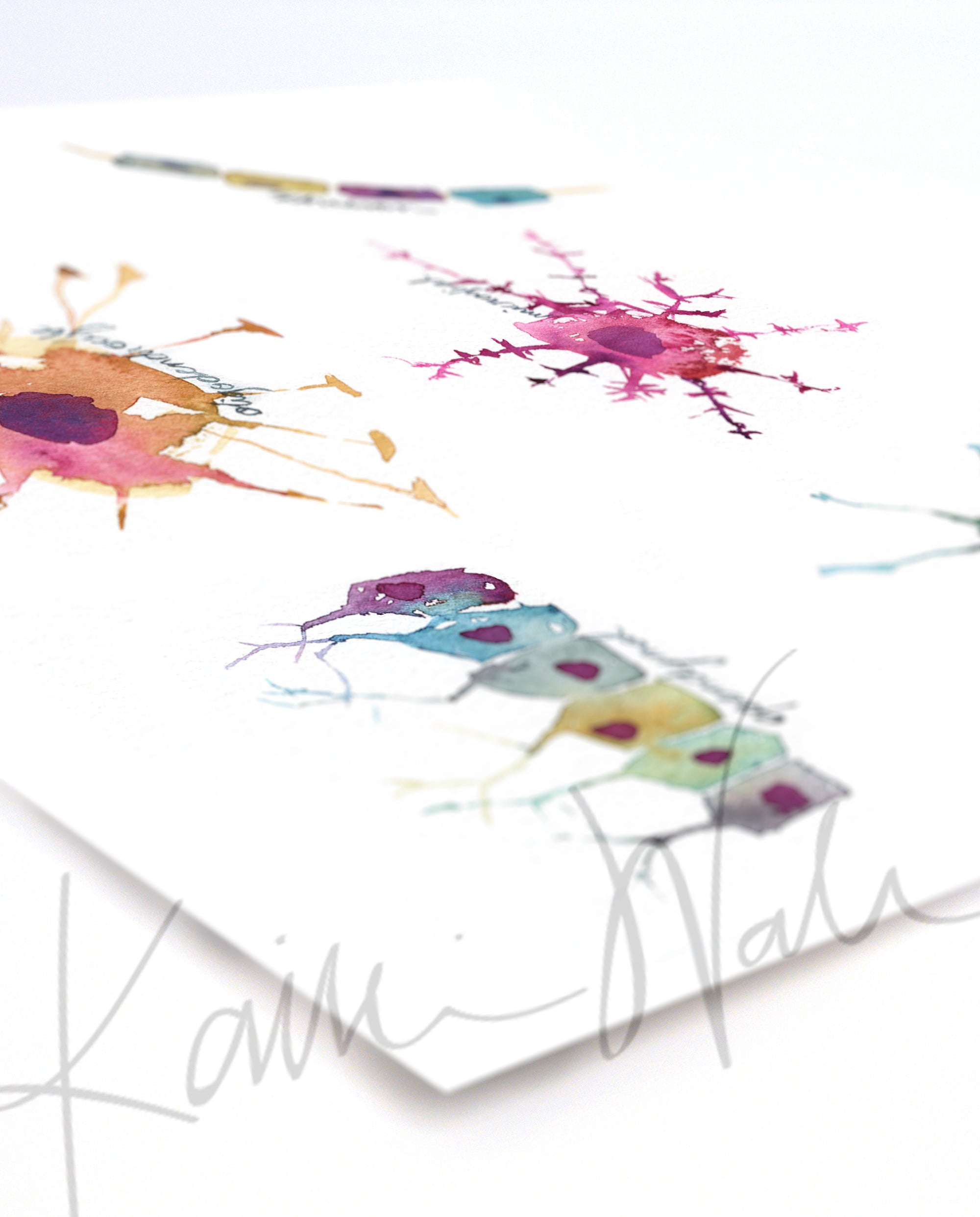Glial Cells Watercolor Print