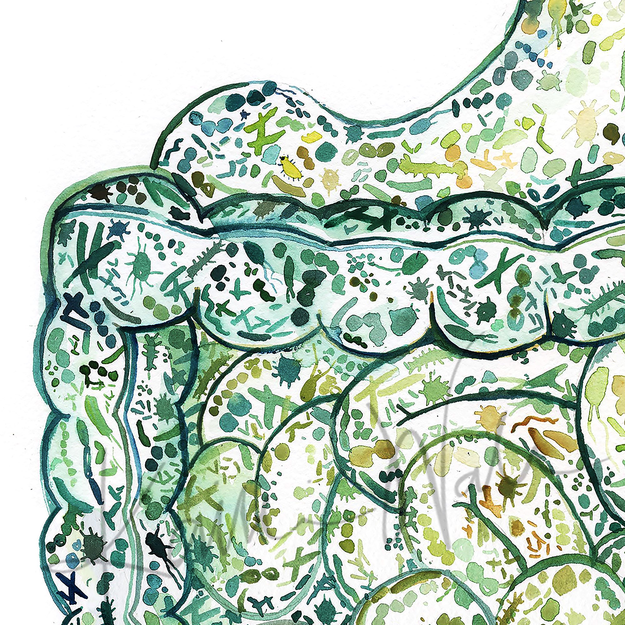 Zoomed in view of a watercolor painting of the stomach and intestines showing the internal gut microbiome.