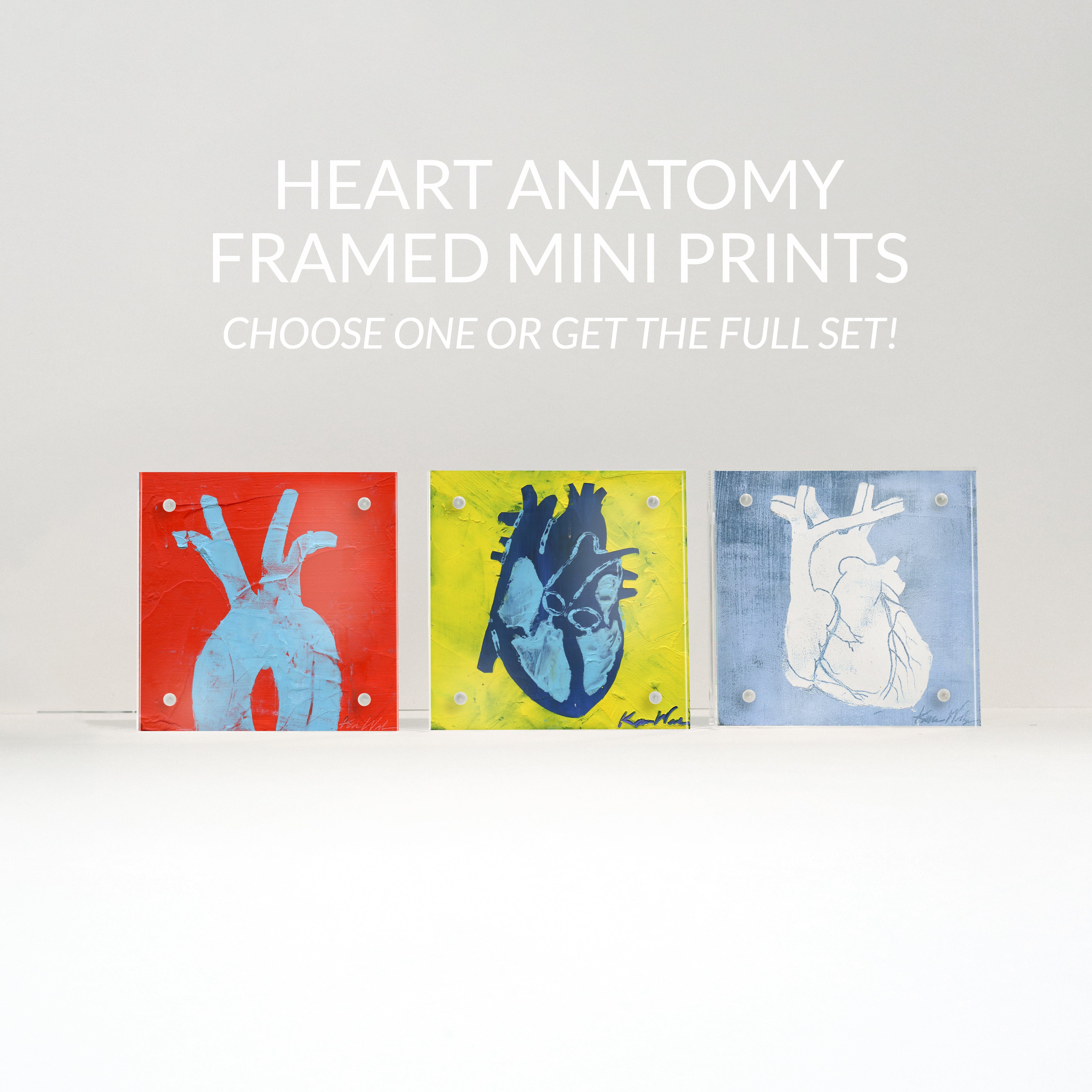 Three framed heart anatomy mini prints on a white background with text overlay. Anatomy art doctor gift.