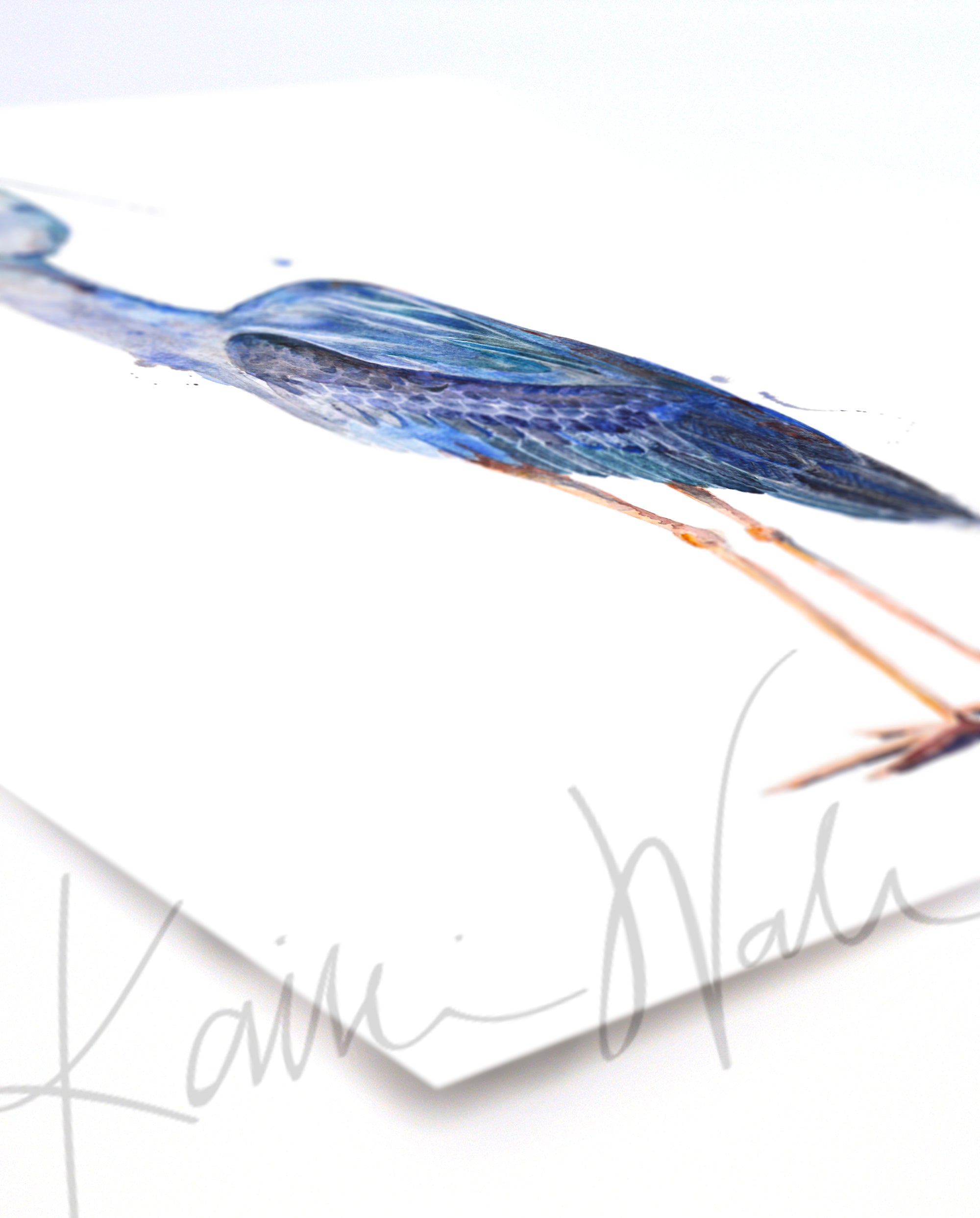 Great Blue Heron Watercolor Print