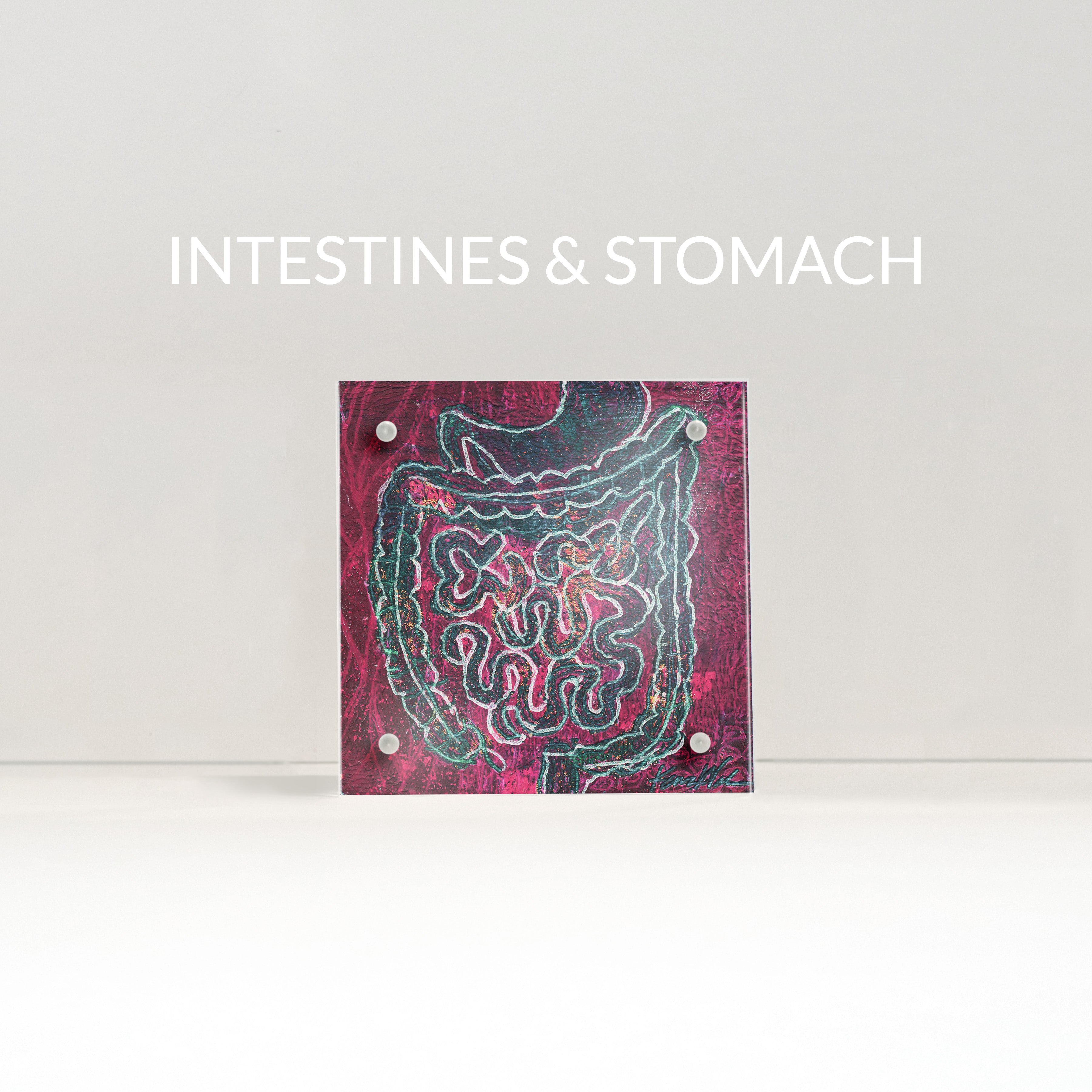 GI (Gastrointestinal) Desktop Anatomy Art - Acrylic Framed Mini Print