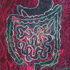 GI (Gastrointestinal) Desktop Anatomy Art - Acrylic Framed Mini Print